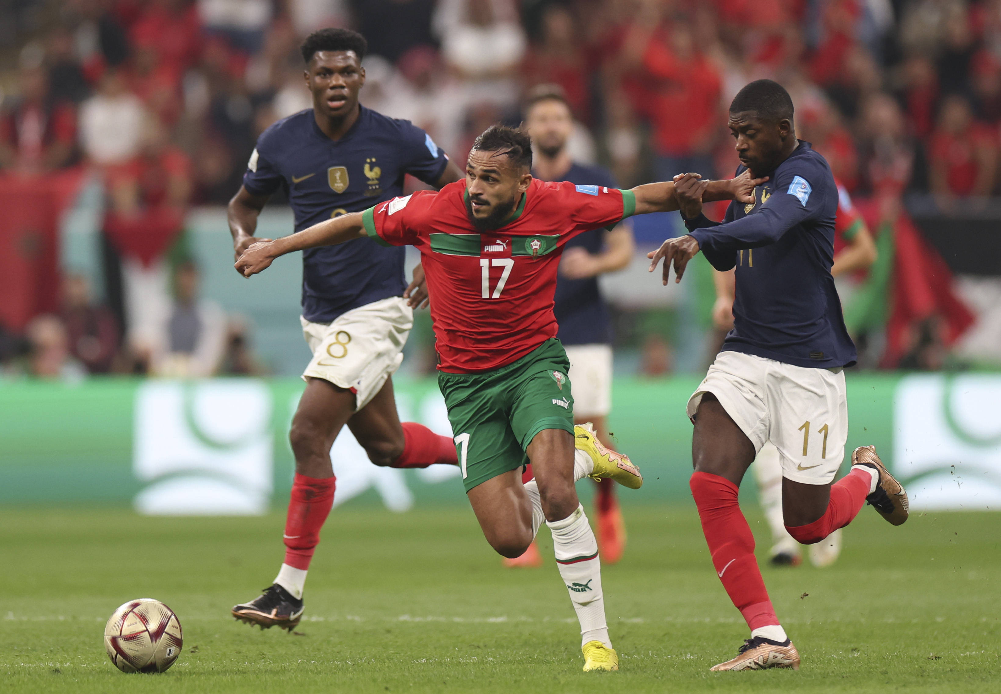 带来更多胜 带来更多胜